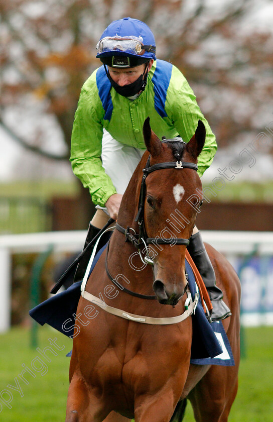 Alba-Rose-0002 
 ALBA ROSE (Joe Fanning)
Newmarket 31 Oct 2020 - Pic Steven Cargill / Racingfotos.com