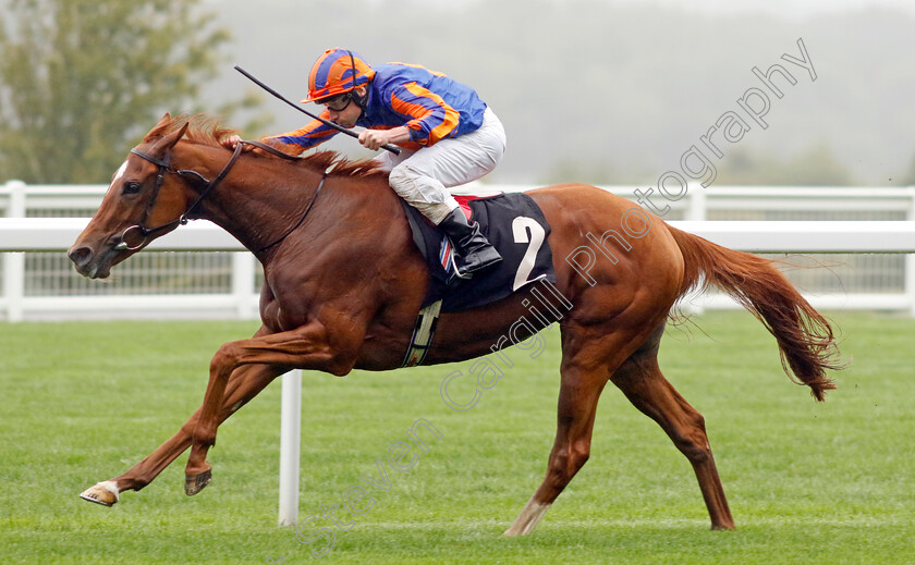 Ballet-Slippers-0001 
 BALLET SLIPPERS (Ryan Moore) wins The Wesco Anixter EBF Fillies Novice Stakes
Ascot 6 Sep 2024 - Pic Steven Cargill / Racingfotos.com