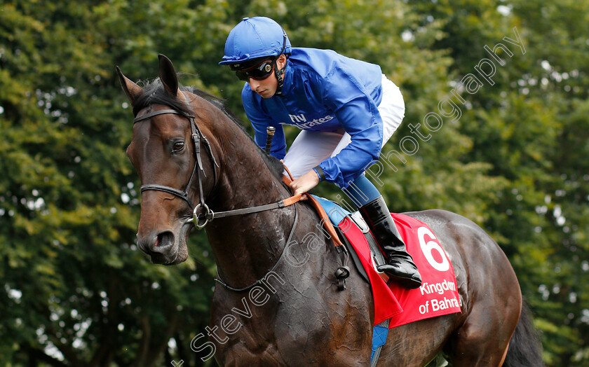 Loxley-0003 
 LOXLEY (William Buick)
Newmarket 12 Jul 2018 - Pic Steven Cargill / Racingfotos.com