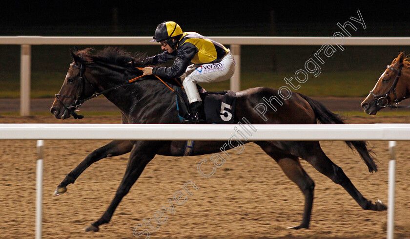 Human-Nature-0004 
 HUMAN NATURE (P J McDonald) wins The Extra Places At totesport.com Handicap
Chelmsford 24 Oct 2019 - Pic Steven Cargill / Racingfotos.com