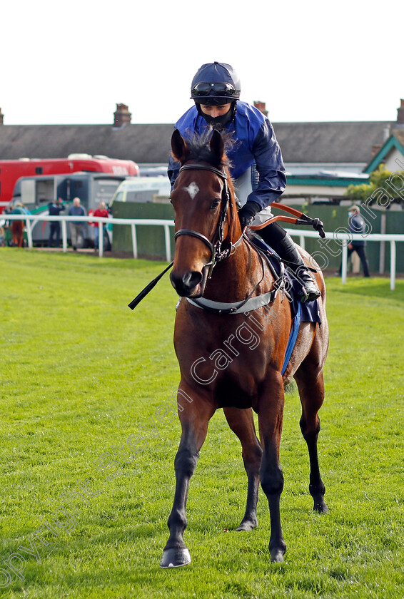 Abilene-Paradox-0001 
 ABILENE PARADOX (Nicola Currie)
Yarmouth 20 Oct 2020 - Pic Steven Cargill / Racingfotos.com