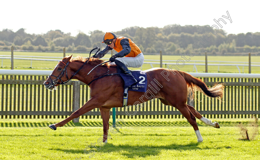 Carla s-Way-0005 
 CARLA'S WAY (James Doyle) wins The Al Basti Equiworld Dubai Rockfel Stakes
Newmarket 29 Sep 2023 - Pic Steven Cargill / Racingfotos.com