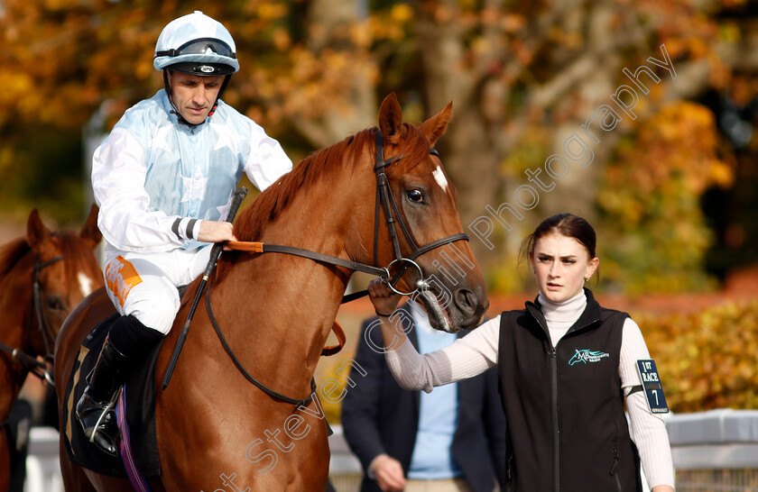 Twilight-Kiss-0002 
 TWILIGHT KISS (Neil Callan)
Newmarket 19 Oct 2022 - Pic Steven Cargill / Racingfotos.com