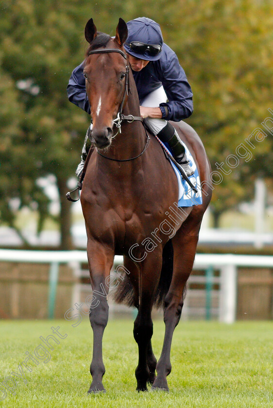 Mythical-0001 
 MYTHICAL (Ryan Moore)
Newmarket 12 Oct 2019 - Pic Steven Cargill / Racingfotos.com