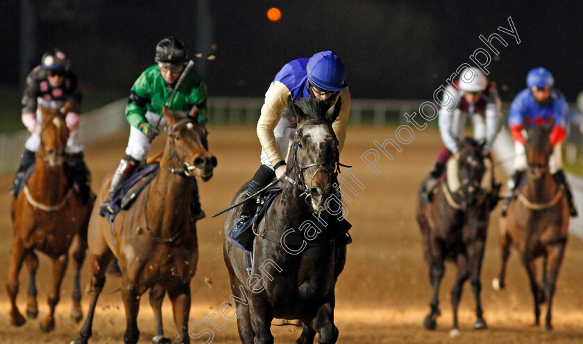 Album-0007 
 ALBUM (Richard Kingscote) wins The Play 4 To Score At Betway Handicap
Wolverhampton 4 Jan 2021 - Pic Steven Cargill / Racingfotos.com