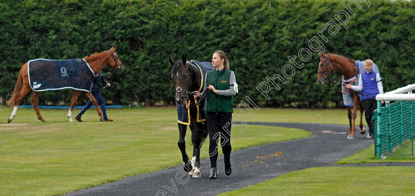 Murphy s-Dream-0005 
 MURPHY'S DREAM
Southwell 4 Oct 2022 - Pic Steven Cargill / Racingfotos.com