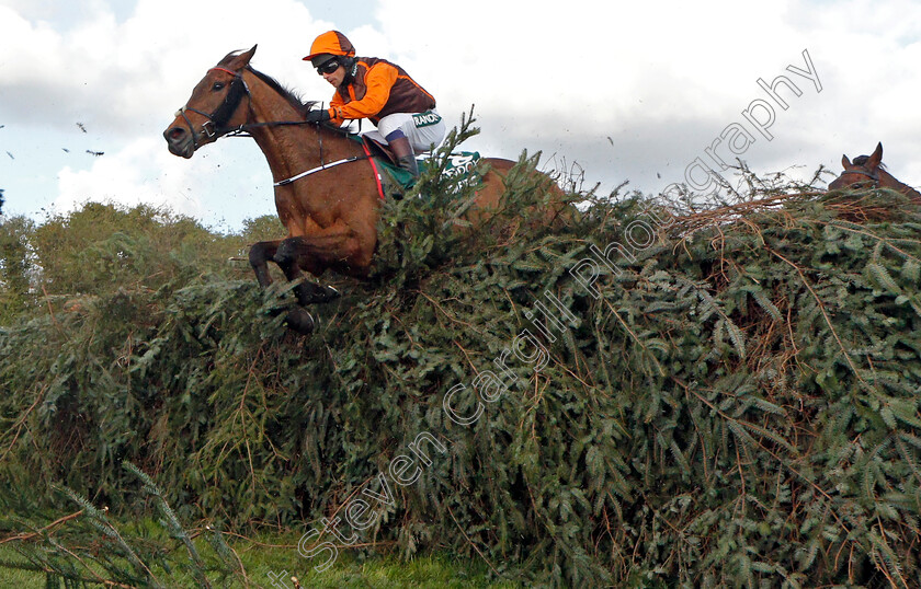 Noble-Yeats-0001 
 NOBLE YEATS (Sam Waley-Cohen) over the 11th fence on his way to winning The Randox Grand National
Aintree 9 Apr 2022 - Pic Steven Cargill / Racingfotos.com