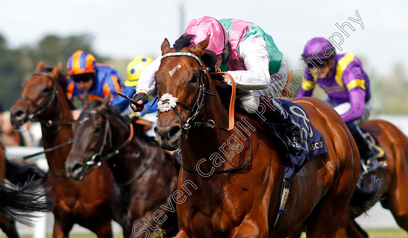 Kikkuli-0003 
 KIKKULI (Oisin Muphy)
Royal Ascot 22 Jun 2024 - Pic Steven Cargill / Racingfotos.com