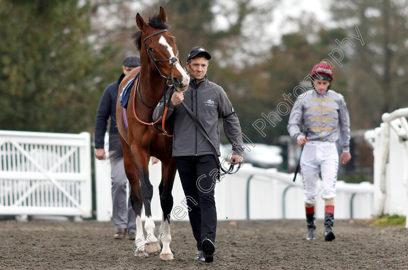 Toast-Of-New-York-0002 
 TOAST OF NEW YORK with Jimmy McCarthy, and jockey Adam Kirby
Lingfield 5 Dec 2018 - Pic Steven Cargill / Racingfotos.com