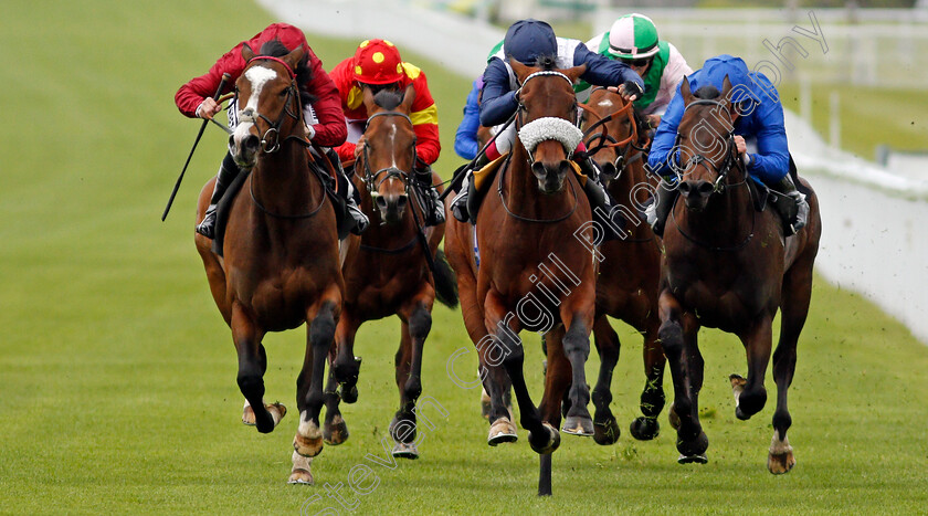 Masekela-0002 
 MASEKELA (centre, Oisin Murphy) beats GOLDEN WAR (left) and FALL OF ROME (right) in The British EBF Novice Stakes
Goodwood 21 May 2021 - Pic Steven Cargill / Racingfotos.com