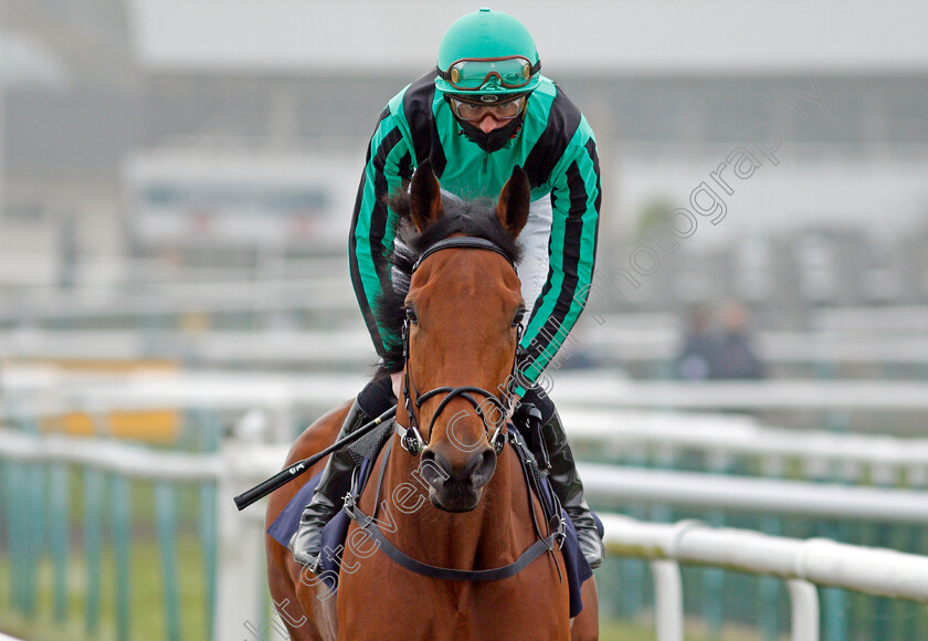 Banna-0001 
 BANNA (James Doyle) winner of The Betfair Each Way Edge Novice Stakes
Doncaster 7 Nov 2020 - Pic Steven Cargill / Racingfotos.com