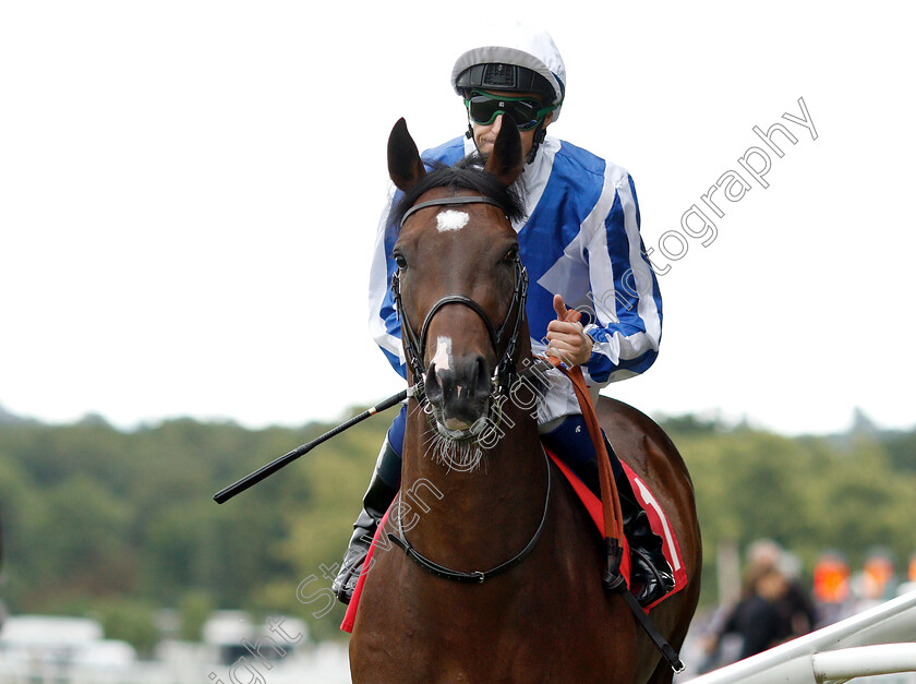 Battle-Of-Issus-0001 
 BATTLE OF ISSUS (Fran Berry)
Sandown 16 Jun 2018 - Pic Steven Cargill / Racingfotos.com