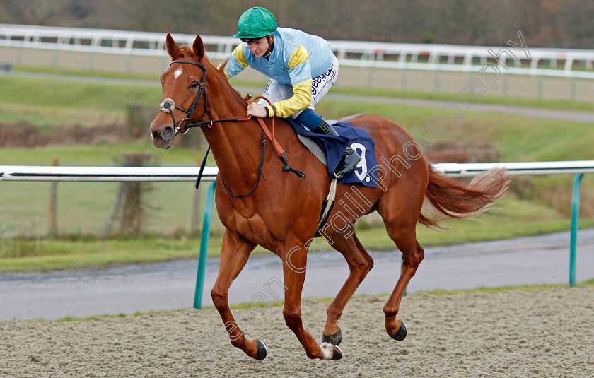 Mercury-Dime-0001 
 MERCURY DIME (David Probert)
Lingfield 11 Dec 2019 - Pic Steven Cargill / Racingfotos.com