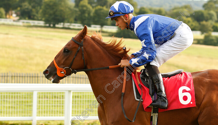 Winnetka-0001 
 WINNETKA (Thore Hammer Hansen)
Epsom 4 Jul 2019 - Pic Steven Cargill / Racingfotos.com