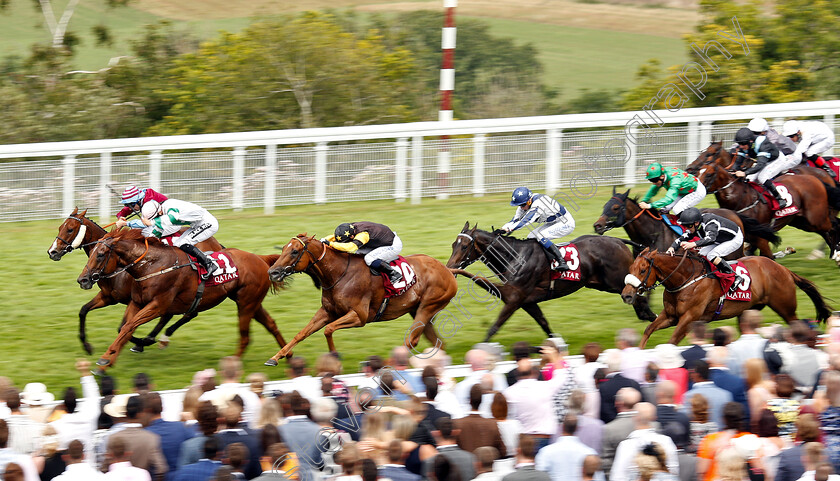 Poyle-Vinnie-0001 
 POYLE VINNIE (farside, James Sullivan) beats VENTUROUS (11) and TOMMY G (20) in The Qatar Stewards Sprint Handicap
Goodwood 3 Aug 2019 - Pic Steven Cargill / Racingfotos.com