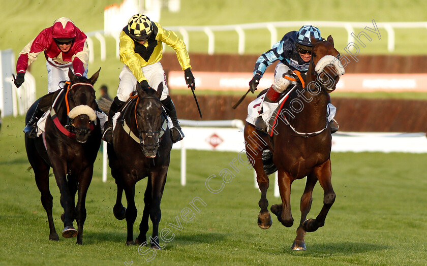 Thomas-Darby-0003 
 THOMAS DARBY (right, Richard Johnson) beats ELIXIR DE NUTZ (centre) and BANG ON FRANKIE (left) in The Foundation Developments Ltd Maiden Hurdle
Cheltenham 26 Oct 2018 - Pic Steven Cargill / Racingfotos.com