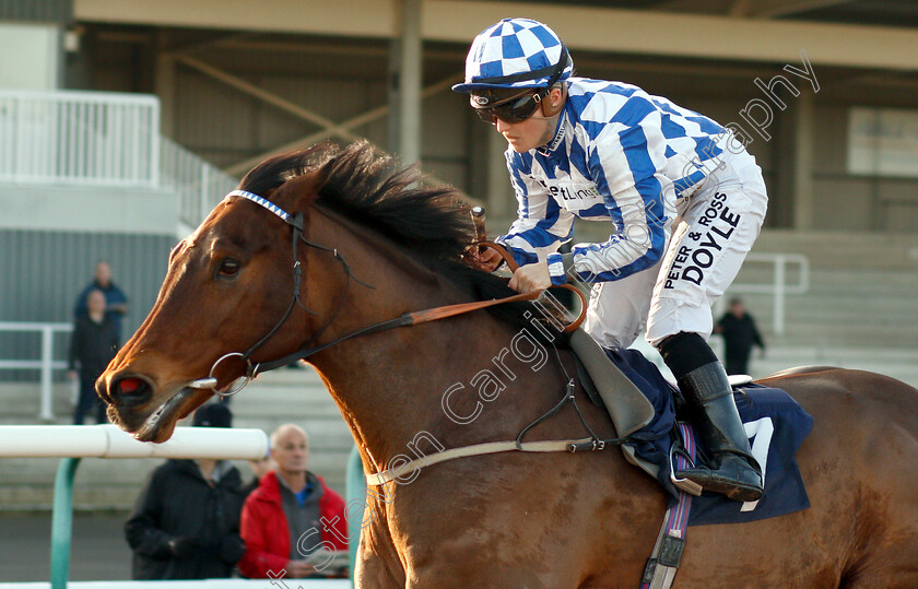 Divine-Call-0005 
 DIVINE CALL (Hollie Doyle) wins The Betway Heed Your Hunch Handicap
Southwell 11 Dec 2018 - Pic Steven Cargill / Racingfotos.com