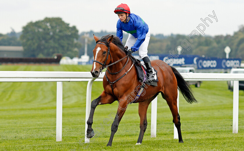 Wells-Farhh-Go-0001 
 WELLS FARHH GO (Daivd Allan)
Ascot 5 Oct 2019 - Pic Steven Cargill / Racingfotos.com