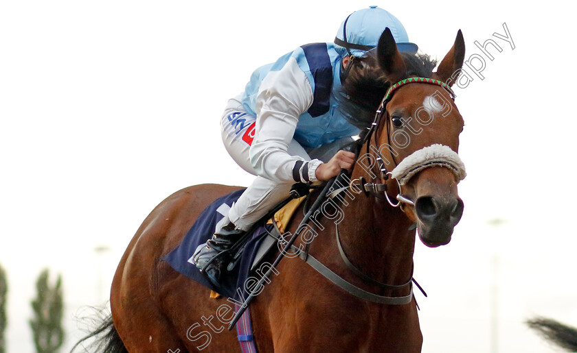 My-Honey-B-0002 
 MY HONEY B (Joanna Mason) wins The Cazoo Nursery
Southwell 4 Oct 2022 - Pic Steven Cargill / Racingfotos.com