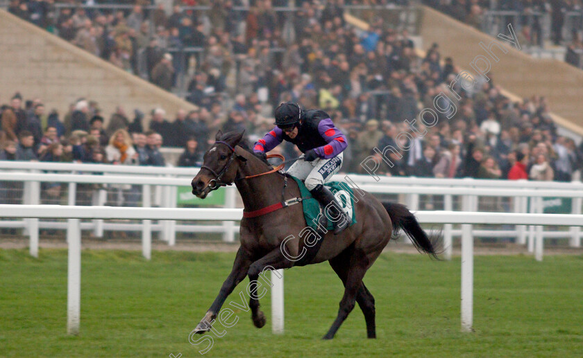 Back-On-The-Lash-0003 
 BACK ON THE LASH (Jonathan Burke) wins The Steel Plate And Sections Handicap Hurdle
Cheltenham 25 Jan 2020 - Pic Steven Cargill / Racingfotos.com