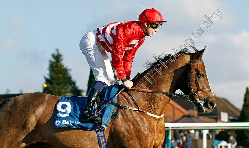 Night-Bear-0001 
 NIGHT BEAR (Hector Crouch)
Lingfield 21 Jan 2023 - Pic Steven Cargill / Racingfotos.com