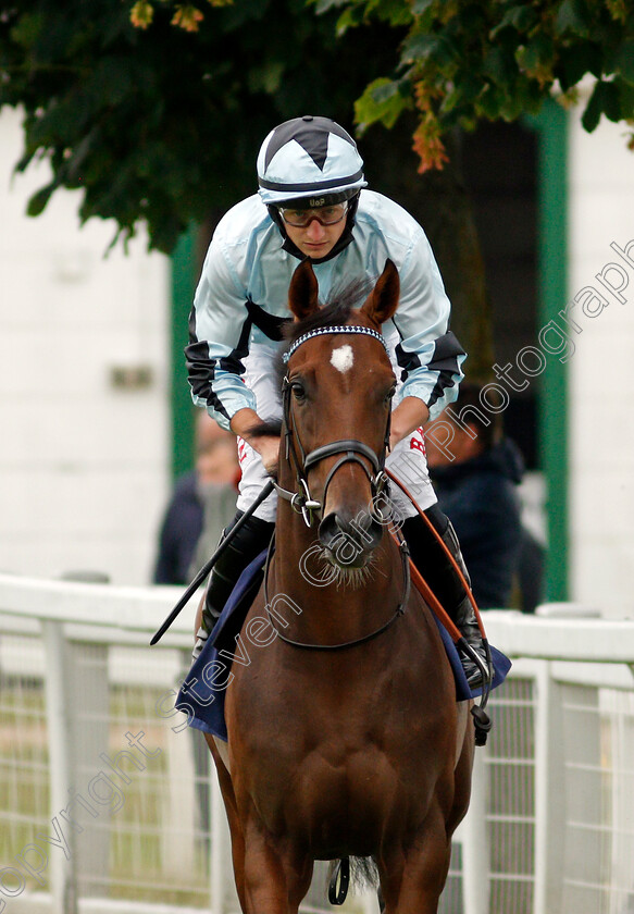 Maglev-0001 
 MAGLEV (Tom Marquand) winner of The British Stallion Studs EBF Novice Stakes
Yarmouth 1 Jul 2021 - Pic Steven Cargill / Racingfotos.com