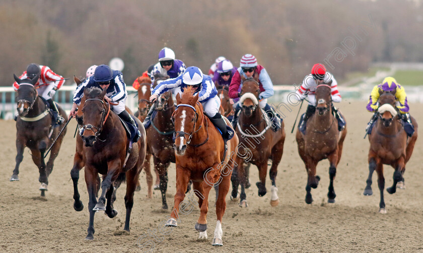 Fantastic-Fox-0005 
 FANTASTIC FOX (Aidan Keeley) beats TALIS EVOLVERE (left) in The Bet £10 Get £40 At Betmgm Handicap
Lingfield 20 Jan 2024 - Pic Steven Cargill / Racingfotos.com