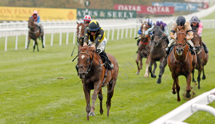 Alemaratalyoum-0002 
 ALEMARATALYOUM (Sean Levey) wins The Old Mout Optional Claiming Handicap
Goodwood 25 Sep 2019 - Pic Steven Cargill / Racingfotos.com