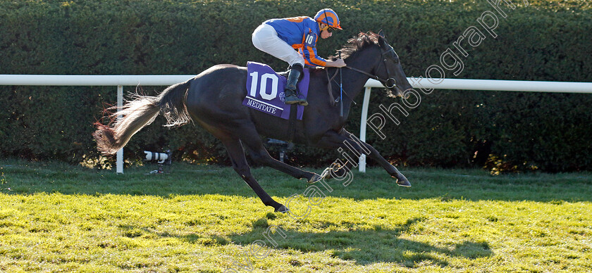 Meditate-0003 
 MEDITATE (Ryan Moore) wins The Breeders' Cup Juvenile Fillies Turf
Breeders Cup Meeting, Keeneland USA, 4 Nov 2022 - Pic Steven Cargill / Racingfotos.com