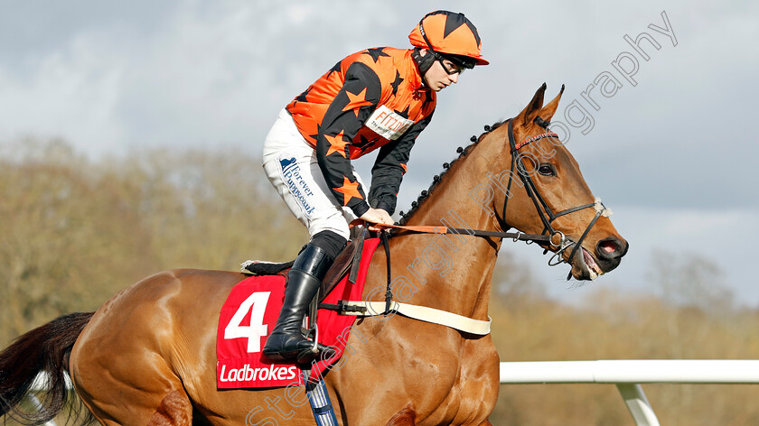 Mambonumberfive-0007 
 MAMBONUMBERFIVE (Ben Jones) winner of The Ladbrokes Adonis Juvenile Hurdle
Kempton 22 Feb 2025 - Pic Steven Cargill / Racingfotos.com