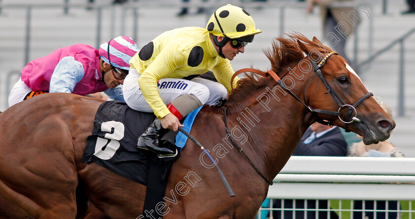 Cape-Byron-0005 
 CAPE BYRON (Andrea Atzeni) wins The Leo Bancroft Signature Hair Care Classified Stakes Ascot 8 Sep 2017 - Pic Steven Cargill / Racingfotos.com