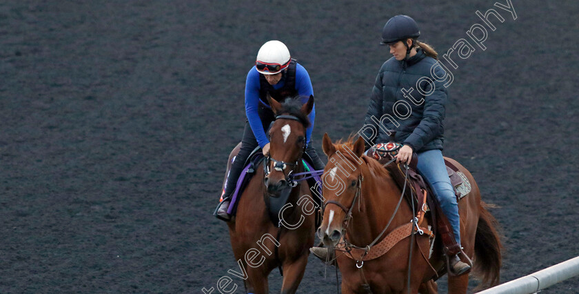 Nashwa-0001 
 NASHWA training for the Breeders' Cup Filly & Mare Turf
Keeneland USA 1 Nov 2022 - Pic Steven Cargill / Racingfotos.com