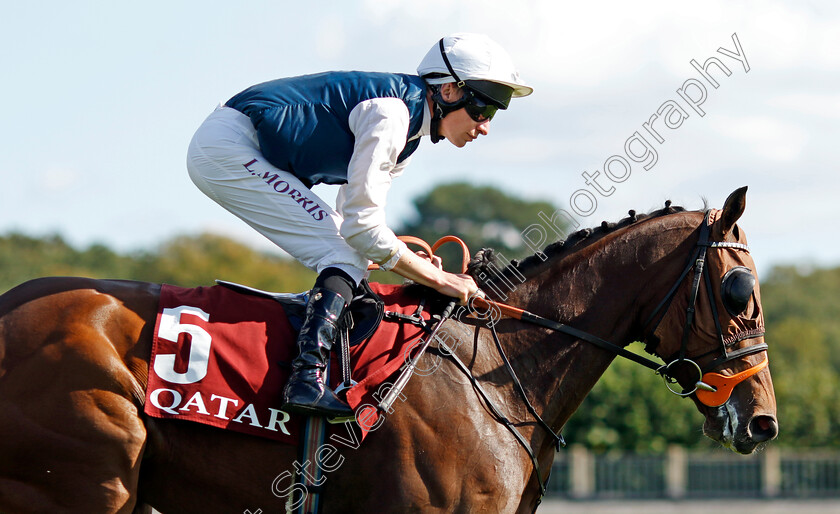 Miss-Cynthia-0001 
 MISS CYNTHIA (Luke Morris)
Longchamp 5 Oct 2024 - Pic Steven Cargill / Racingfotos.com