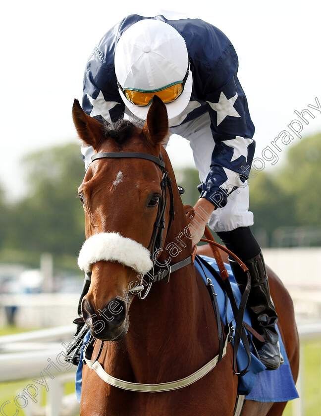 Mutadaffeq-0001 
 MUTADAFFEQ (David Nolan)
York 16 May 2018 - Pic Steven Cargill / Racingfotos.com