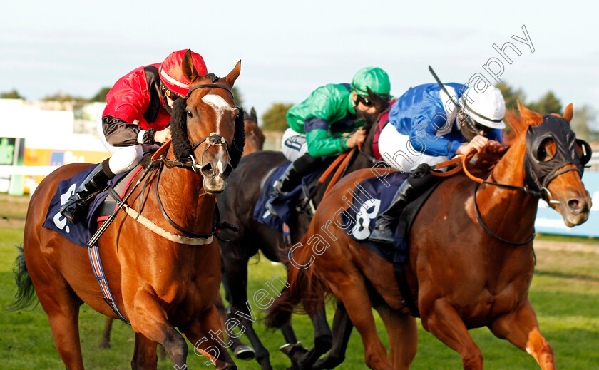 Wild-Flower-0006 
 WILD FLOWER (left, Molly Presland) beats SWELL SONG (right) in The Final Furlong Podcast Handicap
Yarmouth 17 Sep 2020 - Pic Steven Cargill / Racingfotos.com