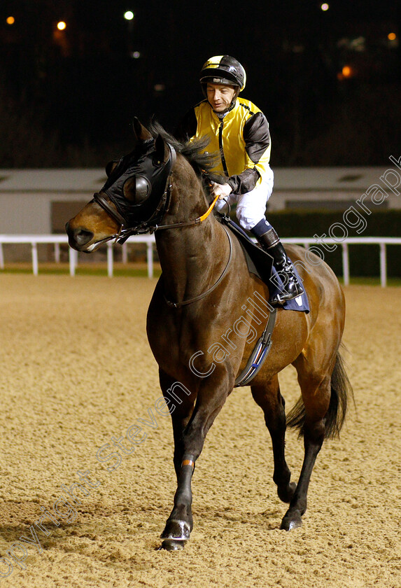 Corinthian-0001 
 CORINTHIAN (Paddy Mathers)
Wolverhampton 26 Feb 2019 - Pic Steven Cargill / Racingfotos.com