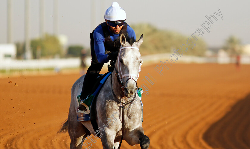 Saudi-Crown-0005 
 SAUDI CROWN training for The Saudi Cup
King Abdulaziz Racecourse, Saudi Arabia 21 Feb 2024 - Pic Steven Cargill / Racingfotos.com