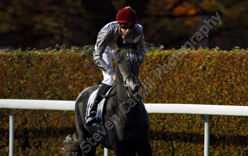 Mayaseen-0001 
 MAYASEEN (Louis Steward) Kempton 8 Nov 2017 - Pic Steven Cargill / Racingfotos.com