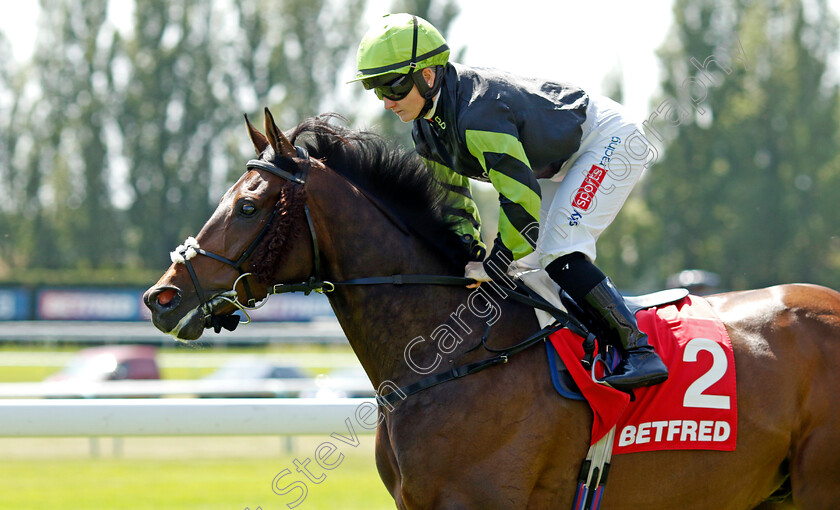 Solent-Gateway-0008 
 SOLENT GATEWAY (Hollie Doyle) winner of The Betfred TV Hell Nook Handicap
Haydock 27 May 2023 - pic Steven Cargill / Racingfotos.com