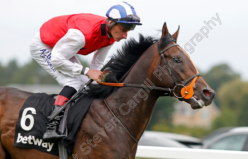 Positive-0003 
 POSITIVE (Adam Kirby) winner of The Betway Solario Stakes
Sandown 31 Aug 2019 - Pic Steven Cargill / Racingfotos.com