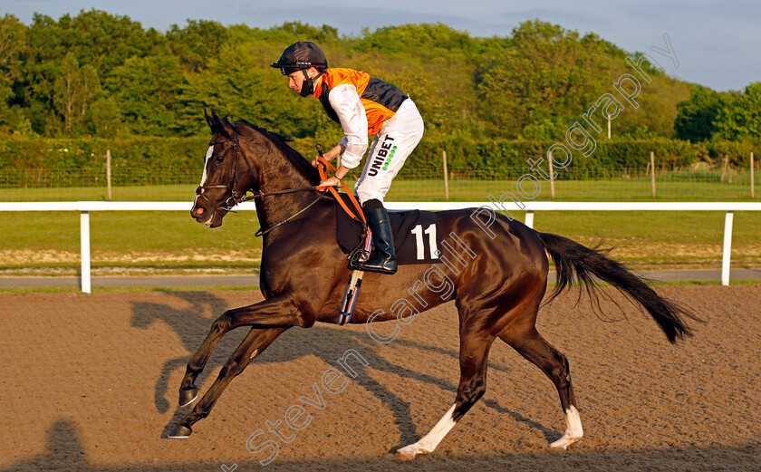 Special-Directory-0001 
 SPECIAL DIRECTORY (Jamie Spencer)
Chelmsford 3 Jun 2021 - Pic Steven Cargill / Racingfotos.com