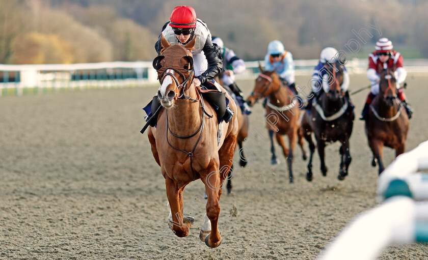 Caribeno-0004 
 CARIBENO (Morgan Cole) wins The Betway Apprentice Handicap (Hands And Heels Final) 
Lingfield 6 Mar 2021 - Pic Steven Cargill / Racingfotos.com