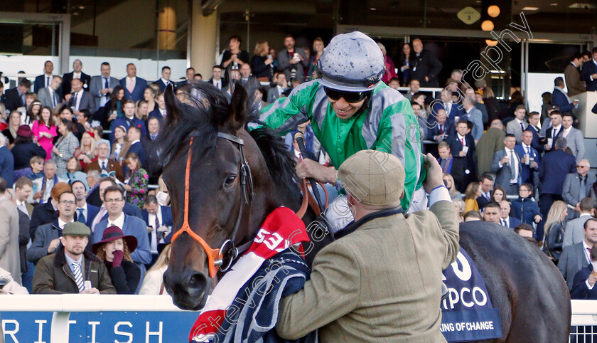 King-Of-Change-0010 
 KING OF CHANGE (Sean Levey) after The Queen Elizabeth II Stakes
Ascot 19 Oct 2019 - Pic Steven Cargill / Racingfotos.com