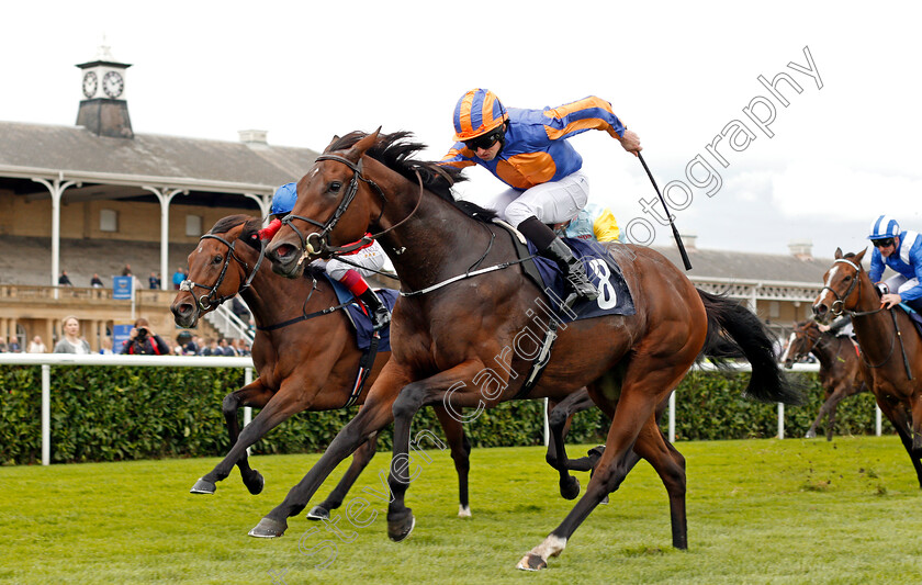 Music-Box-0003 
 MUSIC BOX (Ryan Moore) wins The Japan Racing Association Sceptre Stakes Doncaster 15 Sep 2017 - Pic Steven Cargill / Racingfotos.com