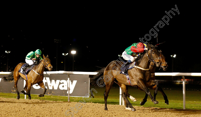 Blame-Culture-0003 
 BLAME CULTURE (David Probert) wins The Sun Racing Top Tips & Previews Novice Stakes
Wolverhampton 7 Jan 2019 - Pic Steven Cargill / Racingfotos.com