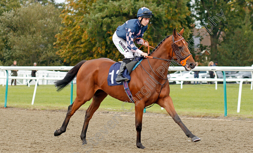 Road-To-Paris-0002 
 ROAD TO PARIS (Luke Morris) winner of The First For Industry Jobs Visit Starrecruitment.bet Handicap
Lingfield 3 Oct 2019 - Pic Steven Cargill / Racingfotos.com