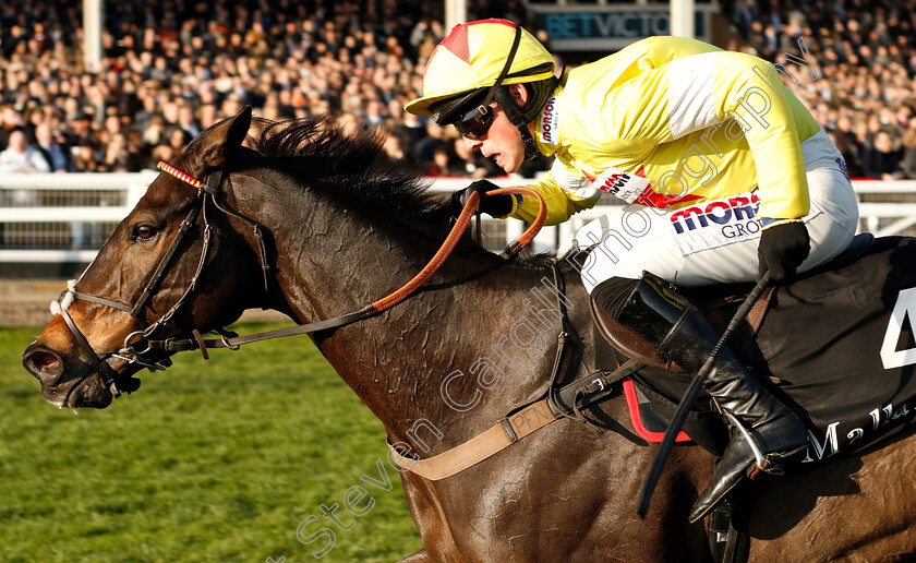 Ibis-Du-Rheu-0004 
 IBIS DU RHEU (Harry Cobden) wins The mallardjewellers.com Novices Chase
Cheltenham 17 Nov 2018 - Pic Steven Cargill / Racingfotos.com