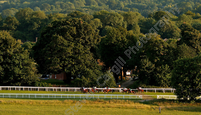 Epsom-0003 
 Down the back straight in The ASD Contracts Handicap won by PEACE PREVAILS (white)
Epsom 4 Jul 2019 - Pic Steven Cargill / Racingfotos.com