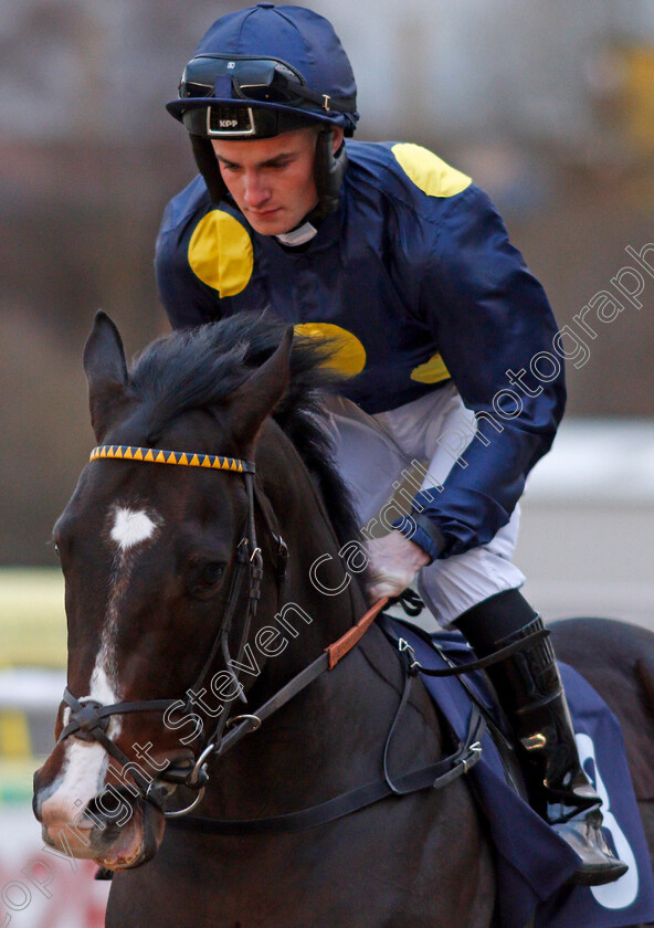 Breathless-Times-0001 
 BREATHLESS TIMES (Adam McNamara) winner of The Betway Novice Stakes Wolverhampton 4 Jan 2018 - Pic Steven Cargill / Racingfotos.com