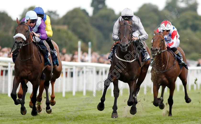 Commanding-Officer-0003 
 COMMANDING OFFICER (Daniel Tudhope) beats INDOMITABLE (left) in The British Stallion Studs EBF Convivial Maiden Stakes
York 24 Aug 2018 - Pic Steven Cargill / Racingfotos.com